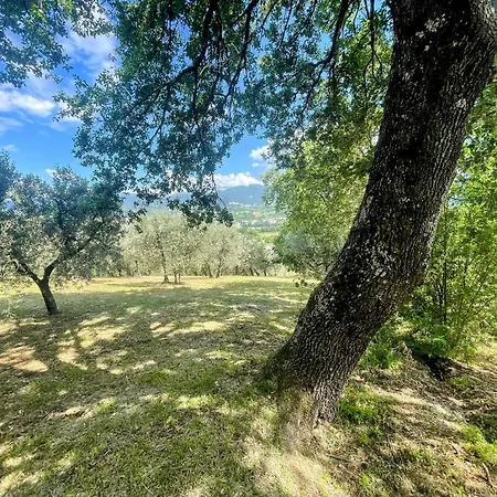 Spoleto Tranquilita - A Sanctuary Of Dreams And Peace Villa *