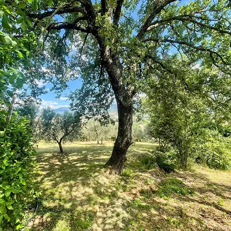 Spoleto Tranquilita - A Sanctuary Of Dreams And Peace *