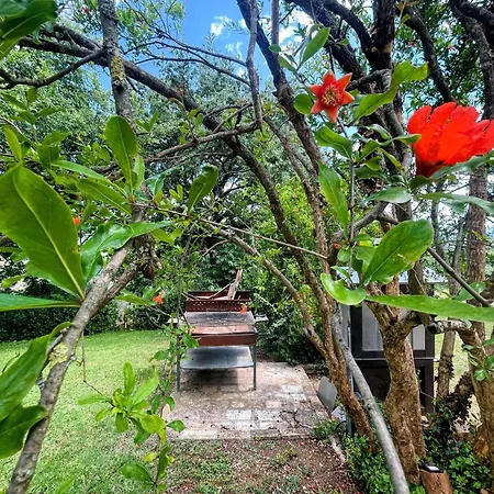 Spoleto Tranquilita Sleeps 20 With Wifi Pool Yoga Gardens And Views Morro