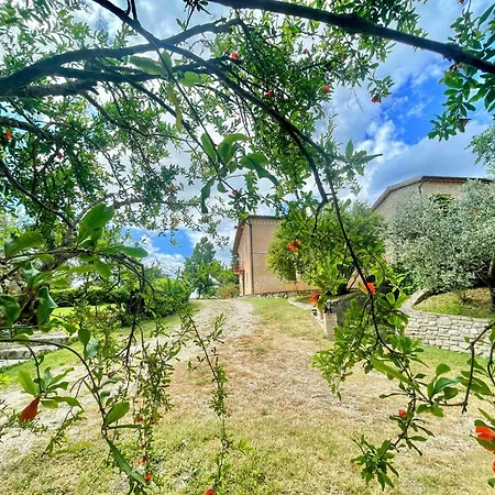 Spoleto Tranquilita Sleeps 20 With Wifi Pool Yoga Gardens And Views 别墅 *