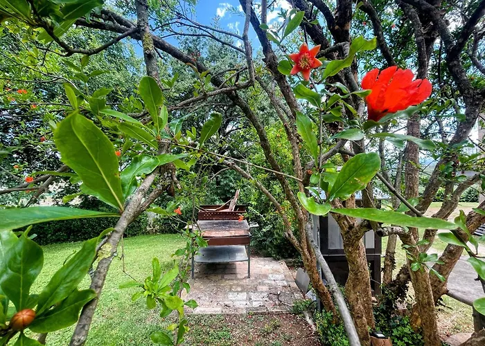 Spoleto Tranquilita Sleeps 20 With Wifi Pool Yoga Gardens And Views Morro